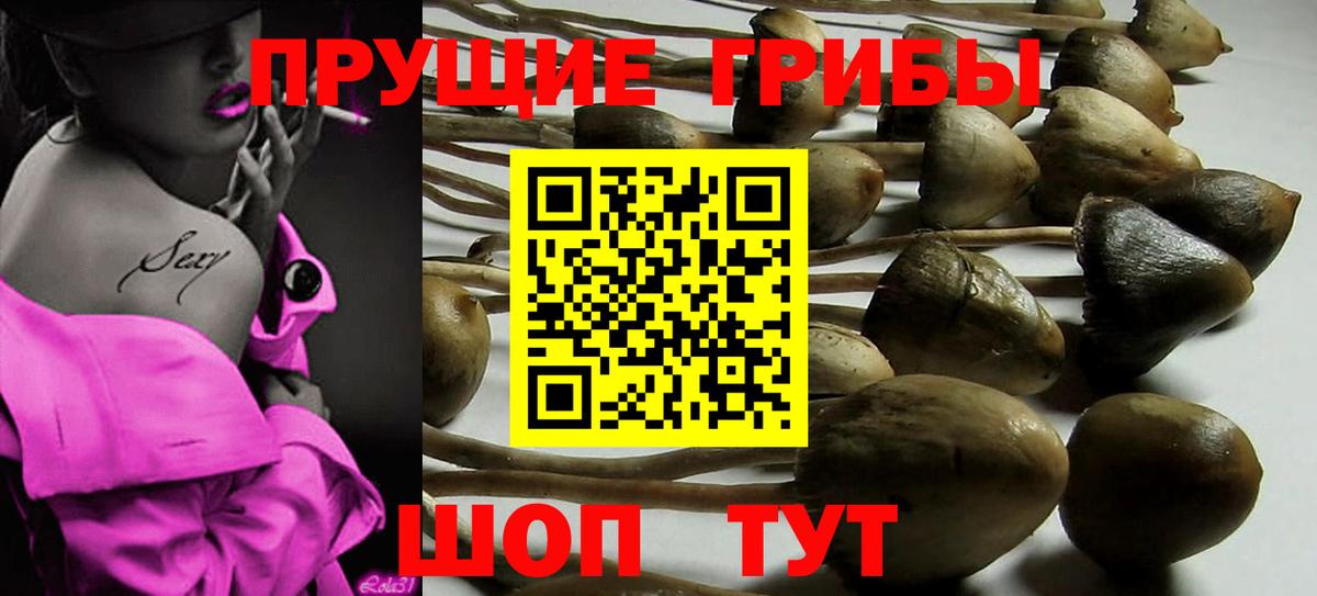 Галлюциногенные грибы Cubensis  Псилоцибиновые грибы Psilocybine cubensis  Кемерово  Вход с VPN 